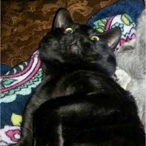 Meet your Posher, Carolyn